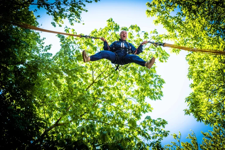 Forêts & bois ombragés du Brabant wallon : marcher au frais quand il fait chaud