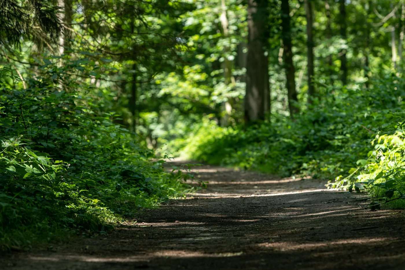 Bois d'Hez — Genappe Bois d'Hez a Genappe, Brabant wallon