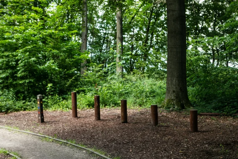 Parcs, domaines & réserves naturelles du Brabant wallon : la nature au frais quand il fait très chaud