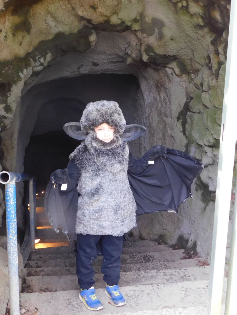 Grottes et fraîcheur souterraine en province de Liège