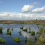 Parc Naturel Hautes Fagnes - Eifel a Waimes, province de Liege