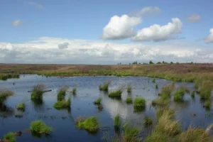 Parc Naturel Hautes Fagnes - Eifel a Waimes, province de Liege