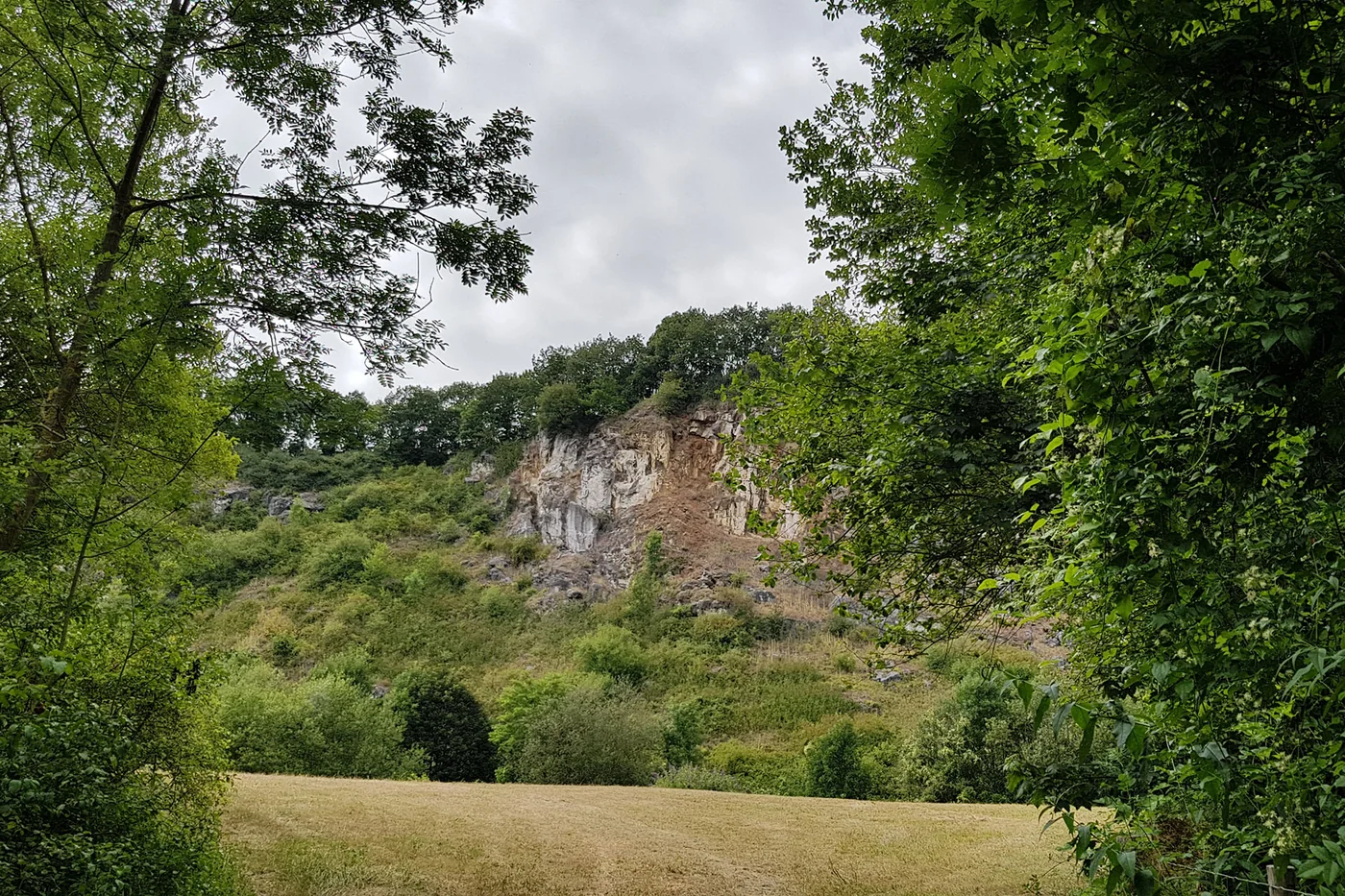 Réserve naturelle aux Roches — Flémalle Réserve naturelle aux Roches a Flémalle, province de Liege