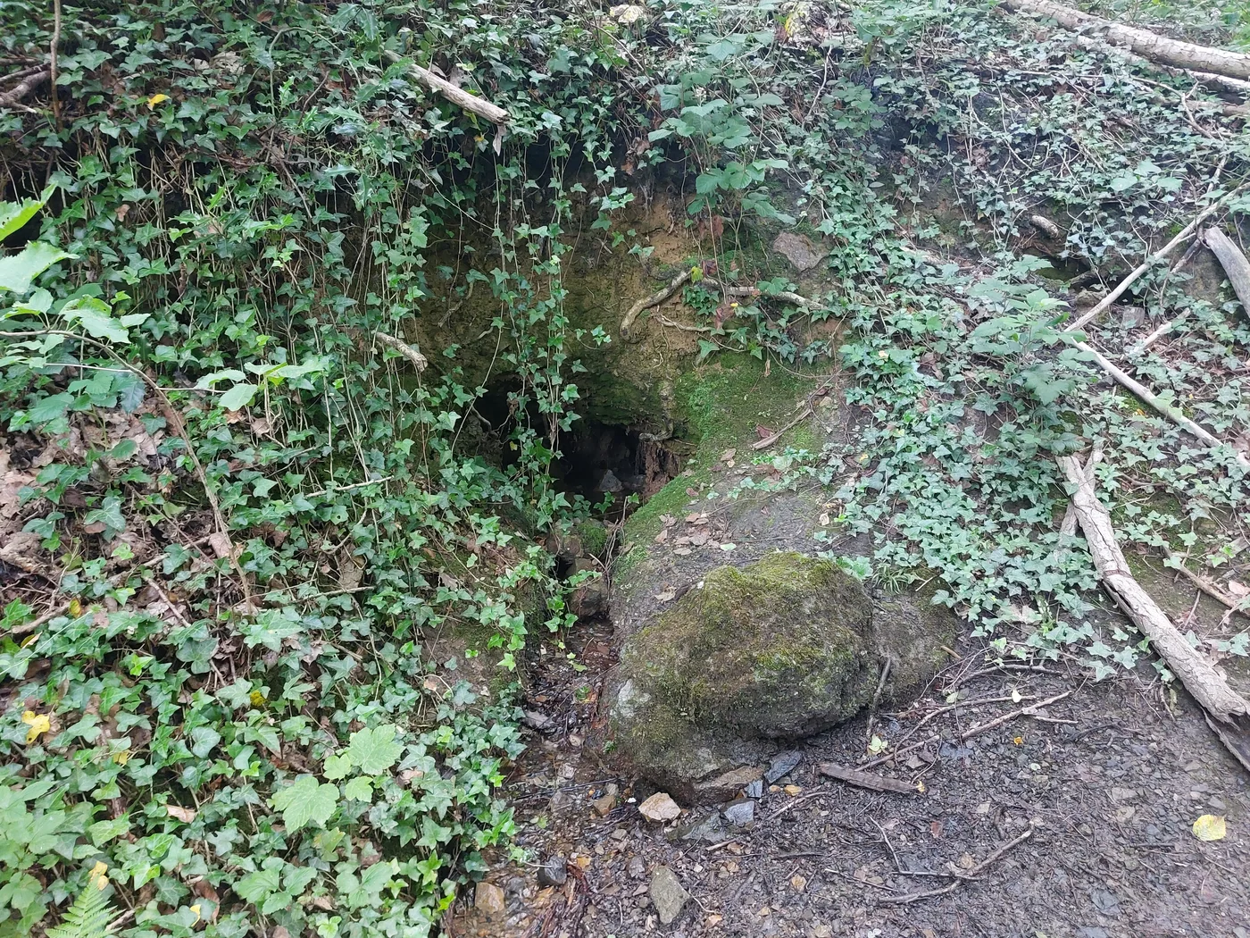 Bois d'Harzée — Sambreville Bois d'Harzée a Sambreville, province de Namur
