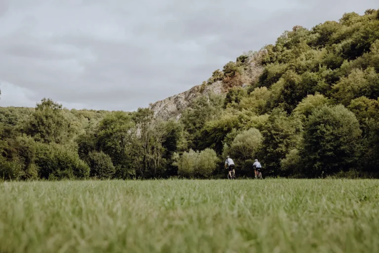 Forêts & bois ombragés de la province de Namur : marcher au frais quand il fait très chaud