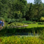 Les Jardins du Lac de Bambois a Fosses-la-Ville, province de Namur