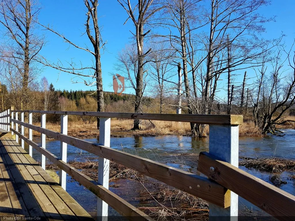 La réserve naturelle d'Orti — Sainte-Ode La réserve naturelle d'Orti a Sainte-Ode, province de Luxembourg