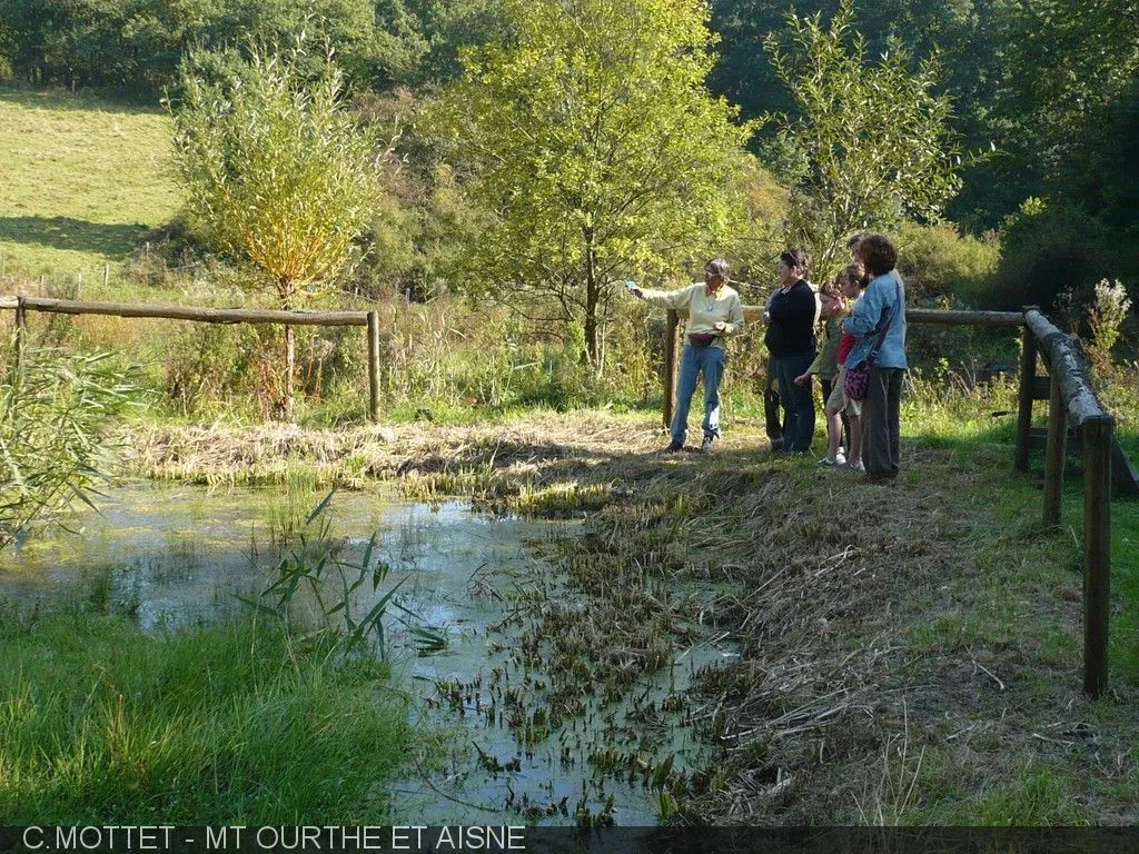 La Réserve Naturelle des Enneilles — Durbuy La Réserve Naturelle des Enneilles a Durbuy, province de Luxembourg