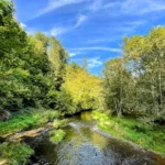 Le Domaine provincial de Mirwart a Saint-Hubert, province de Luxembourg