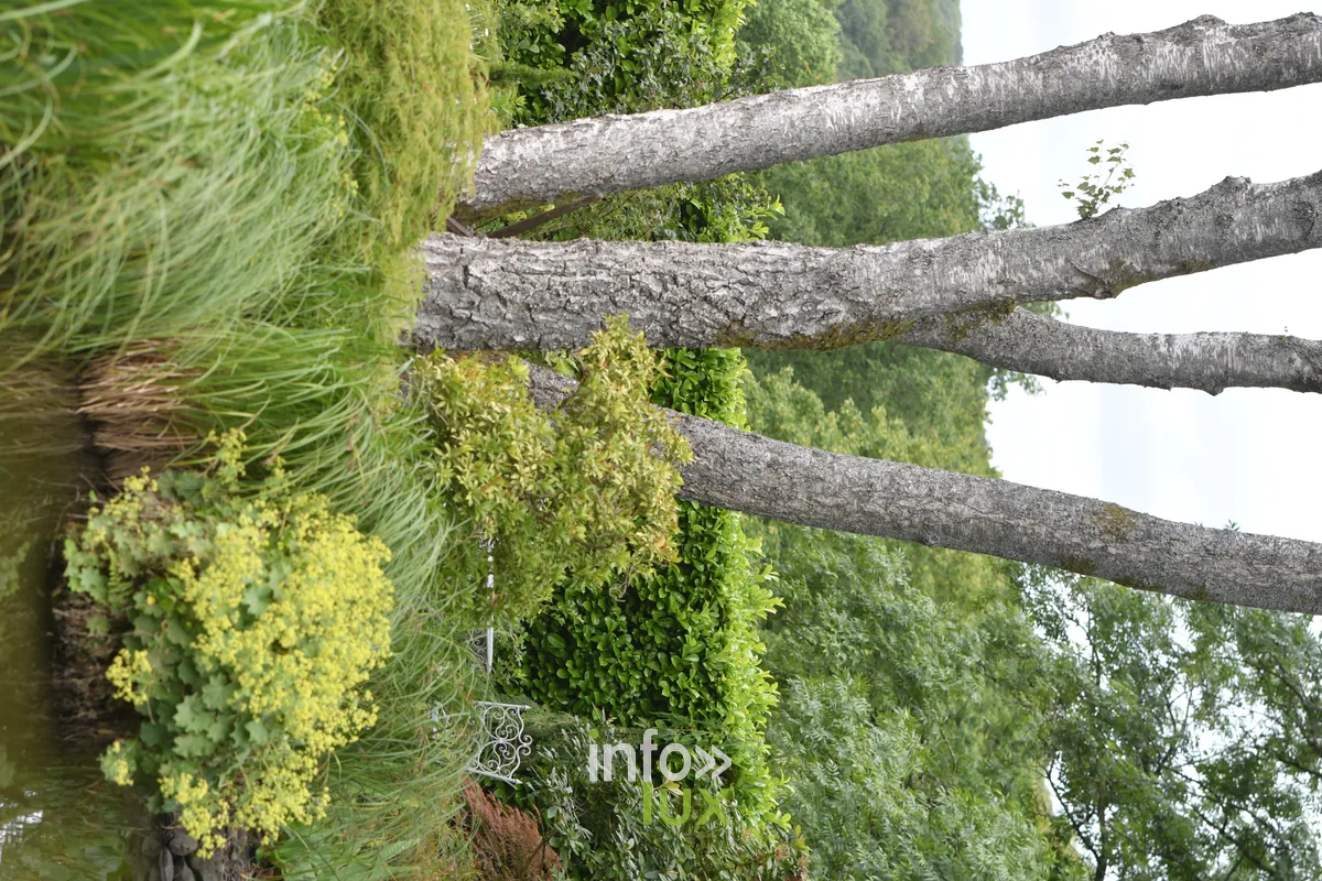 Jardin Le petit enclos de Fabienne et Marcel Pierrard a Chiny, Chiny au Jardin 2026