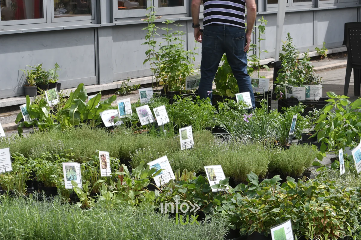 Foire aux plantes de Chiny au Jardin 2026 a l'ecole de Chiny