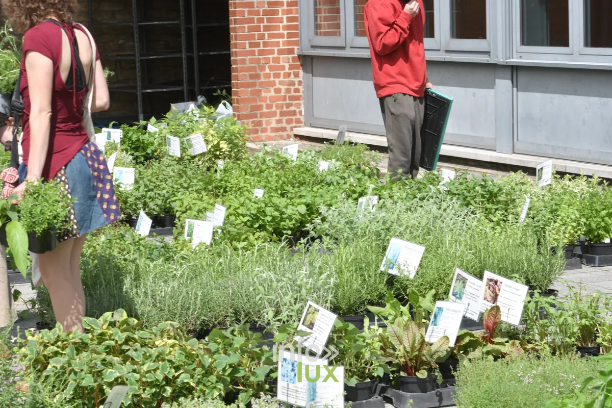 Foire aux plantes de Chiny au Jardin 2026 a l'ecole de Chiny