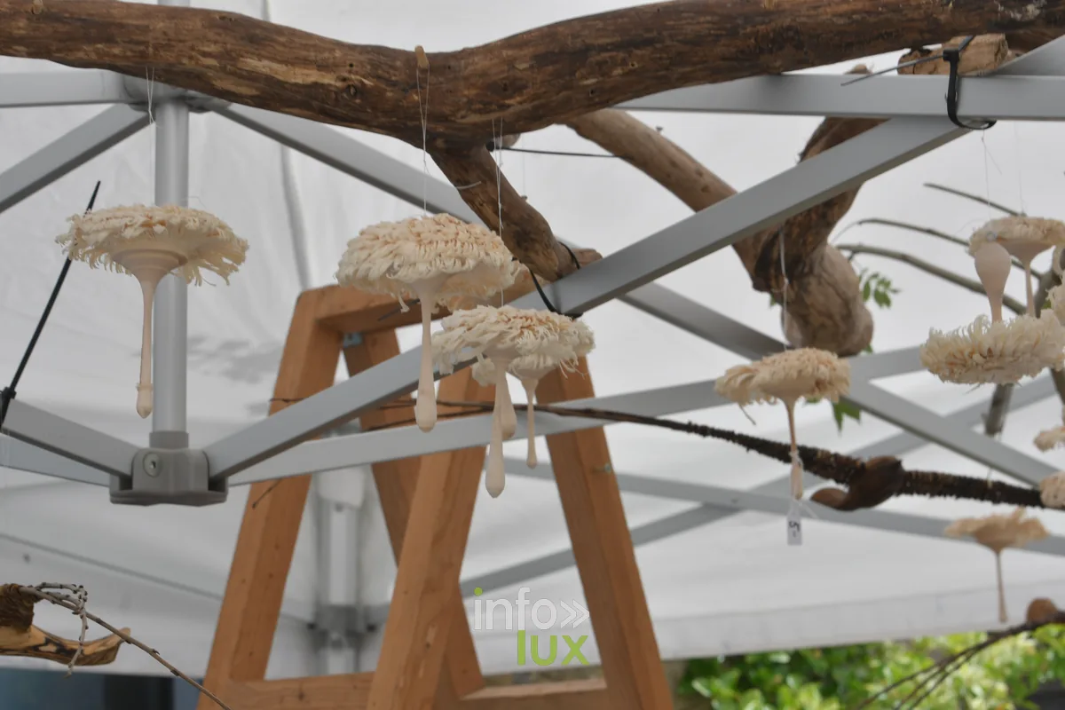 Foire aux plantes de Chiny au Jardin 2026 a l'ecole de Chiny
