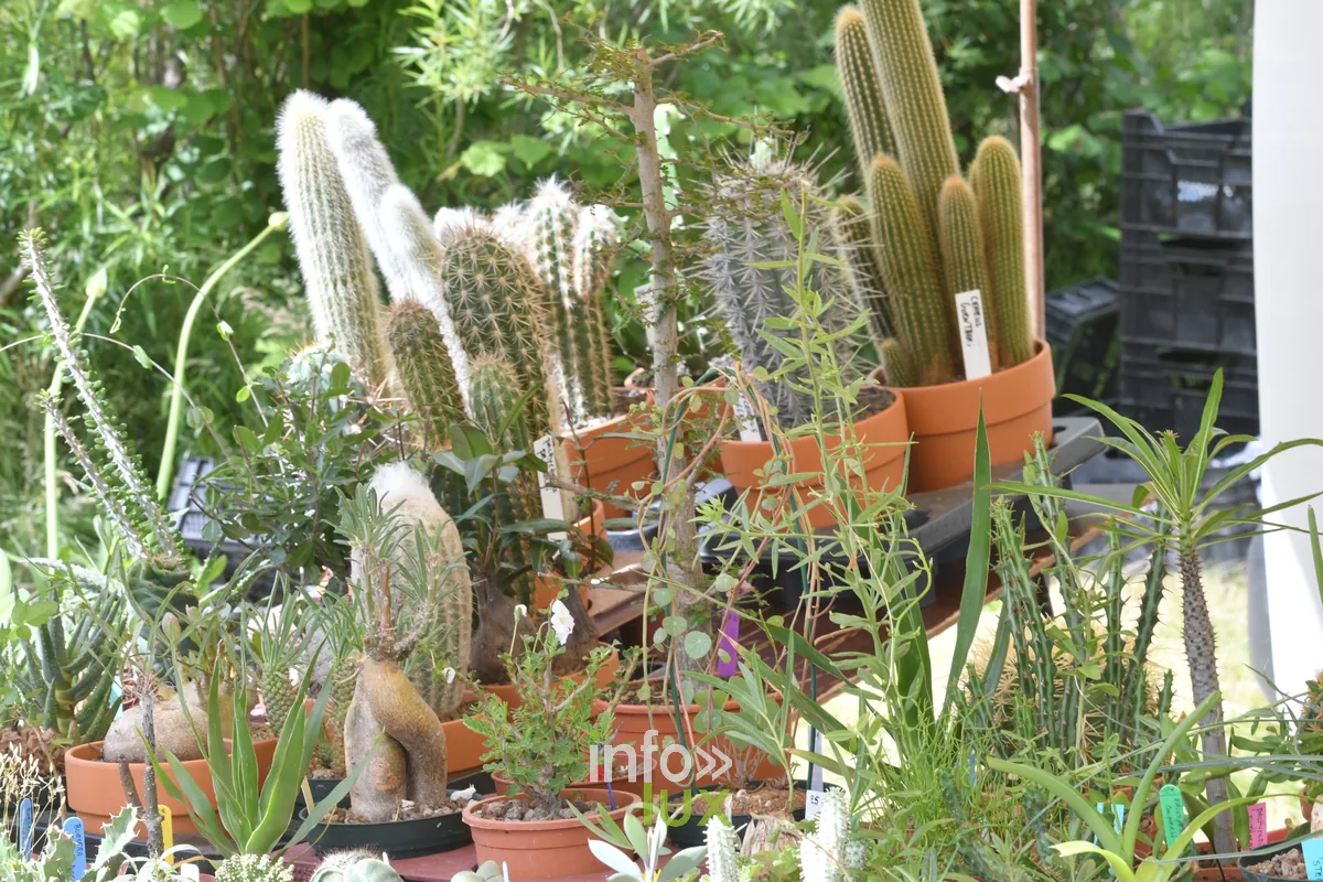Foire aux plantes de Chiny au Jardin 2026 a l'ecole de Chiny