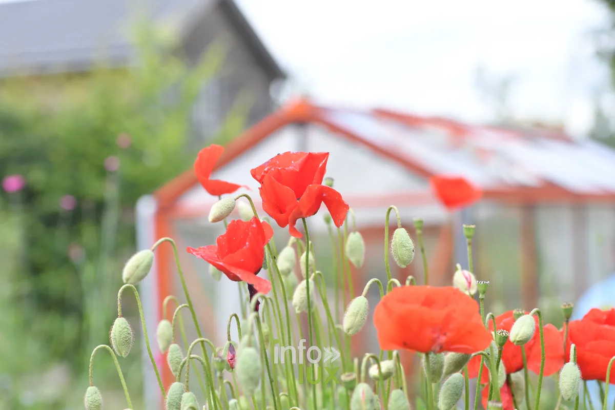 Le jardin de Jules a Izel, Chiny au Jardin 2026