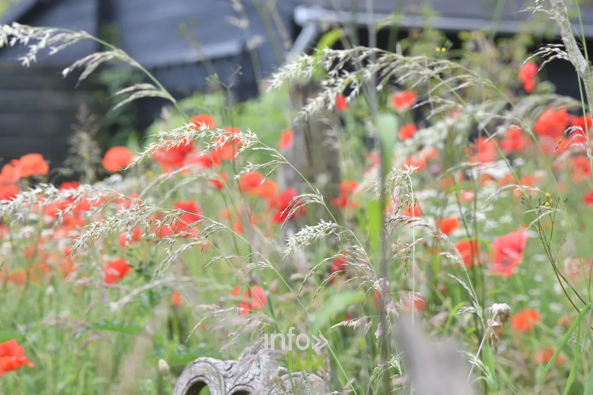 Le jardin de Jules a Izel, Chiny au Jardin 2026