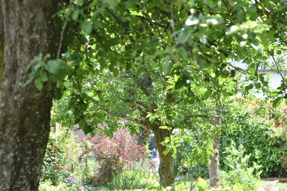 Le jardin de Lily a Valansart, Chiny au Jardin 2026