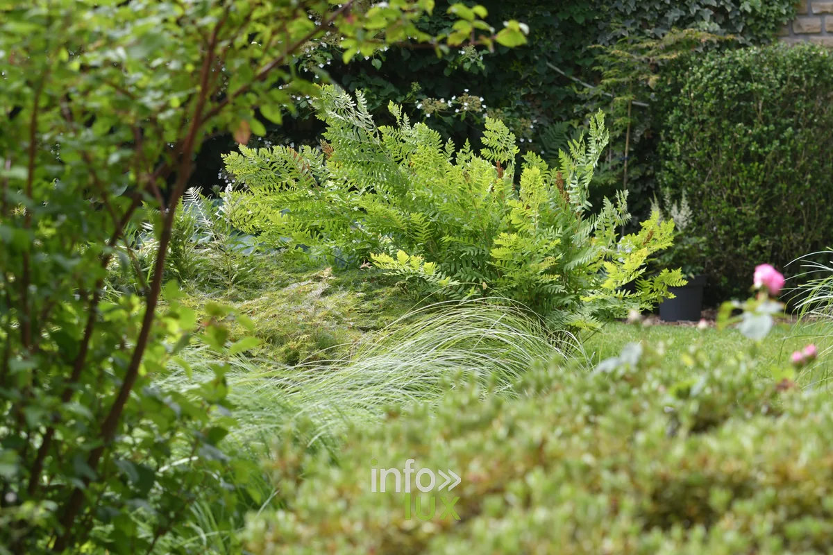 Jardin Le petit enclos de Fabienne et Marcel Pierrard a Chiny, Chiny au Jardin 2026