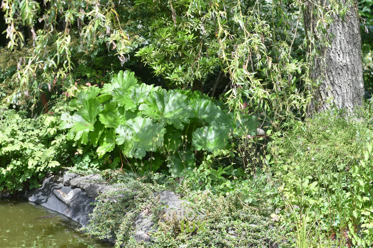 Jardin Le petit enclos de Fabienne et Marcel Pierrard a Chiny, Chiny au Jardin 2026