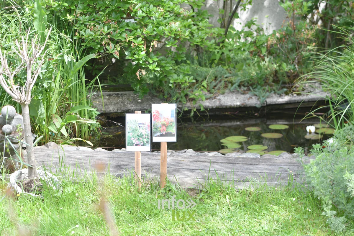 Jardin Mon tout petit jardin de Pascal Match a Chiny, Chiny au Jardin 2026