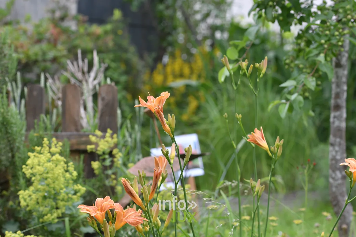 Jardin Mon tout petit jardin de Pascal Match a Chiny, Chiny au Jardin 2026