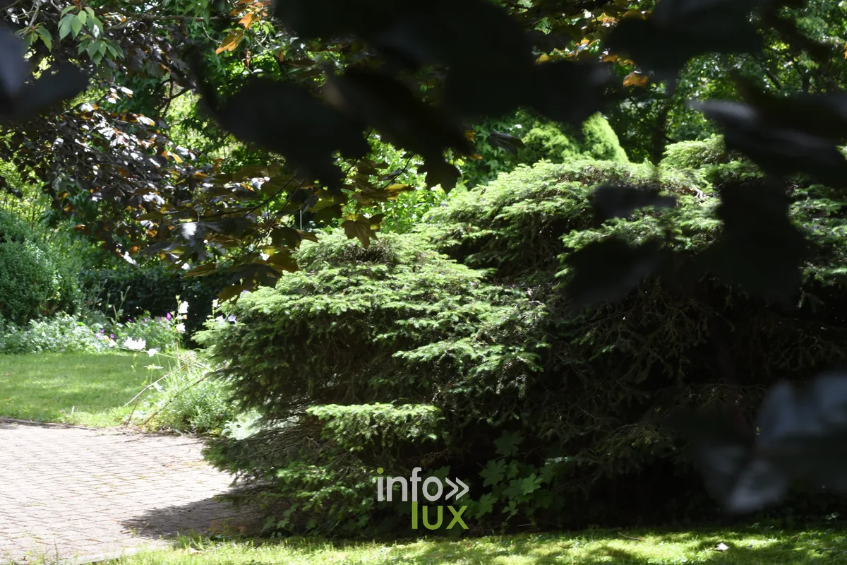 Jardin Un peu de tout de Paule Noiset a Chiny, Chiny au Jardin 2026