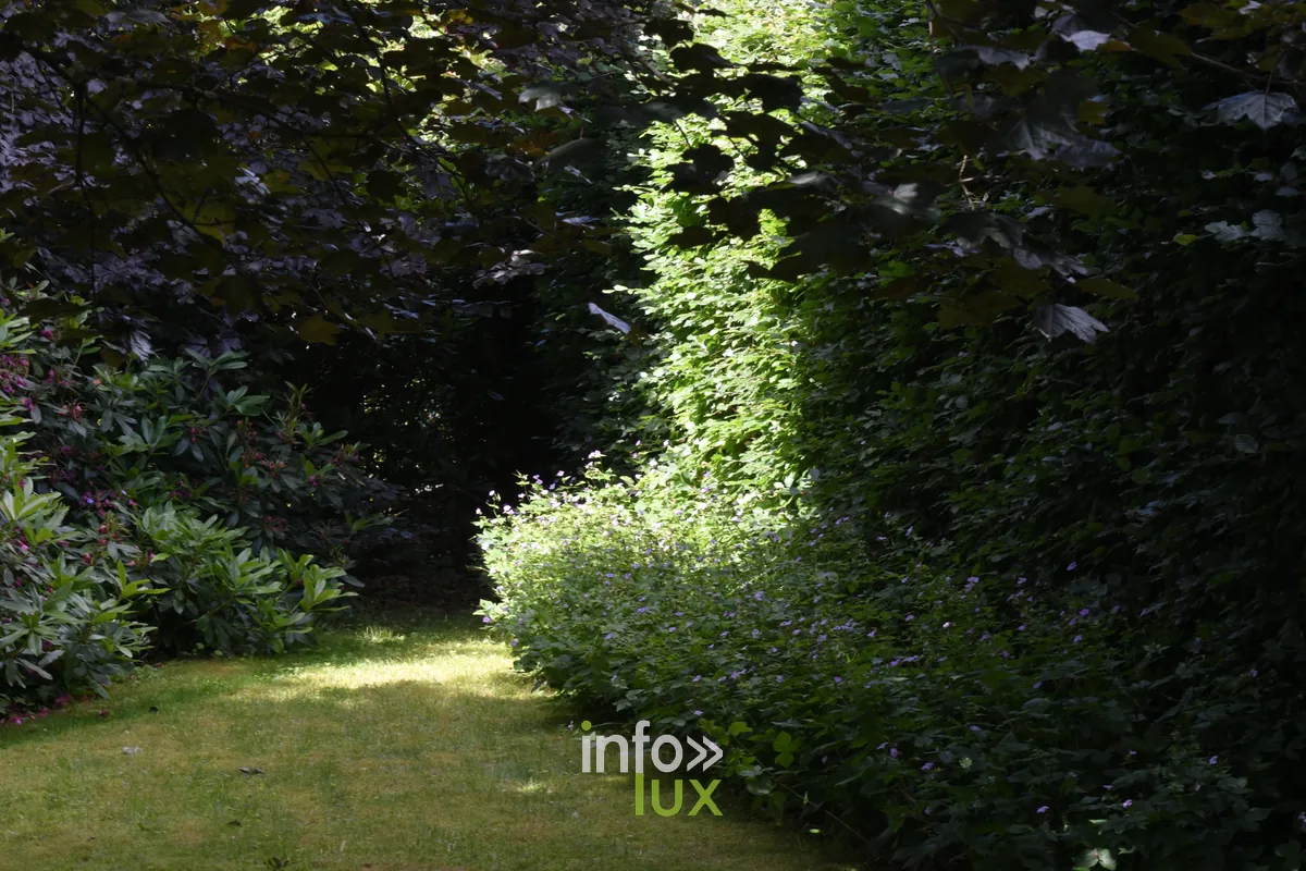 Jardin Un peu de tout de Paule Noiset a Chiny, Chiny au Jardin 2026