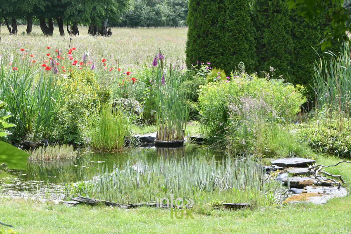 Jardin Un peu de tout de Paule Noiset a Chiny, Chiny au Jardin 2026