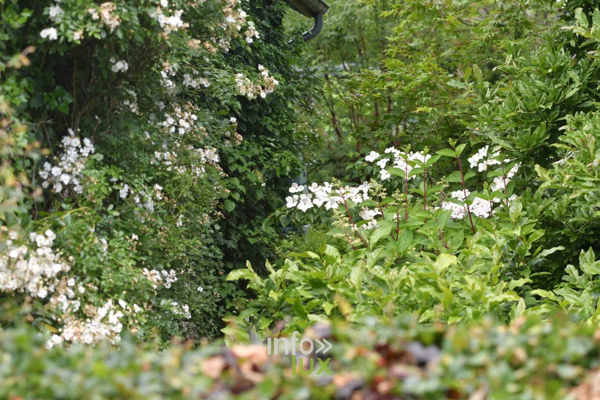 Jardin Un peu de tout de Paule Noiset a Chiny, Chiny au Jardin 2026