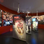 Dimanche gratuit dans les musées à Mons
