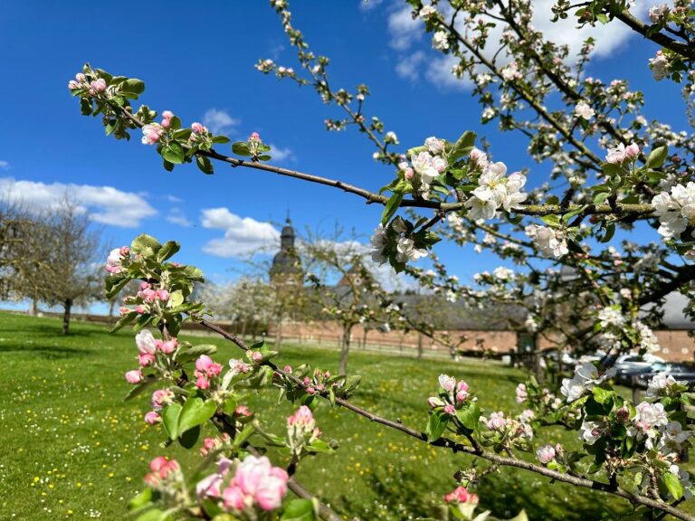 Jodoigne » Patrimoine » Domaine ouvert à l’Abbaye de la Ramée 2026