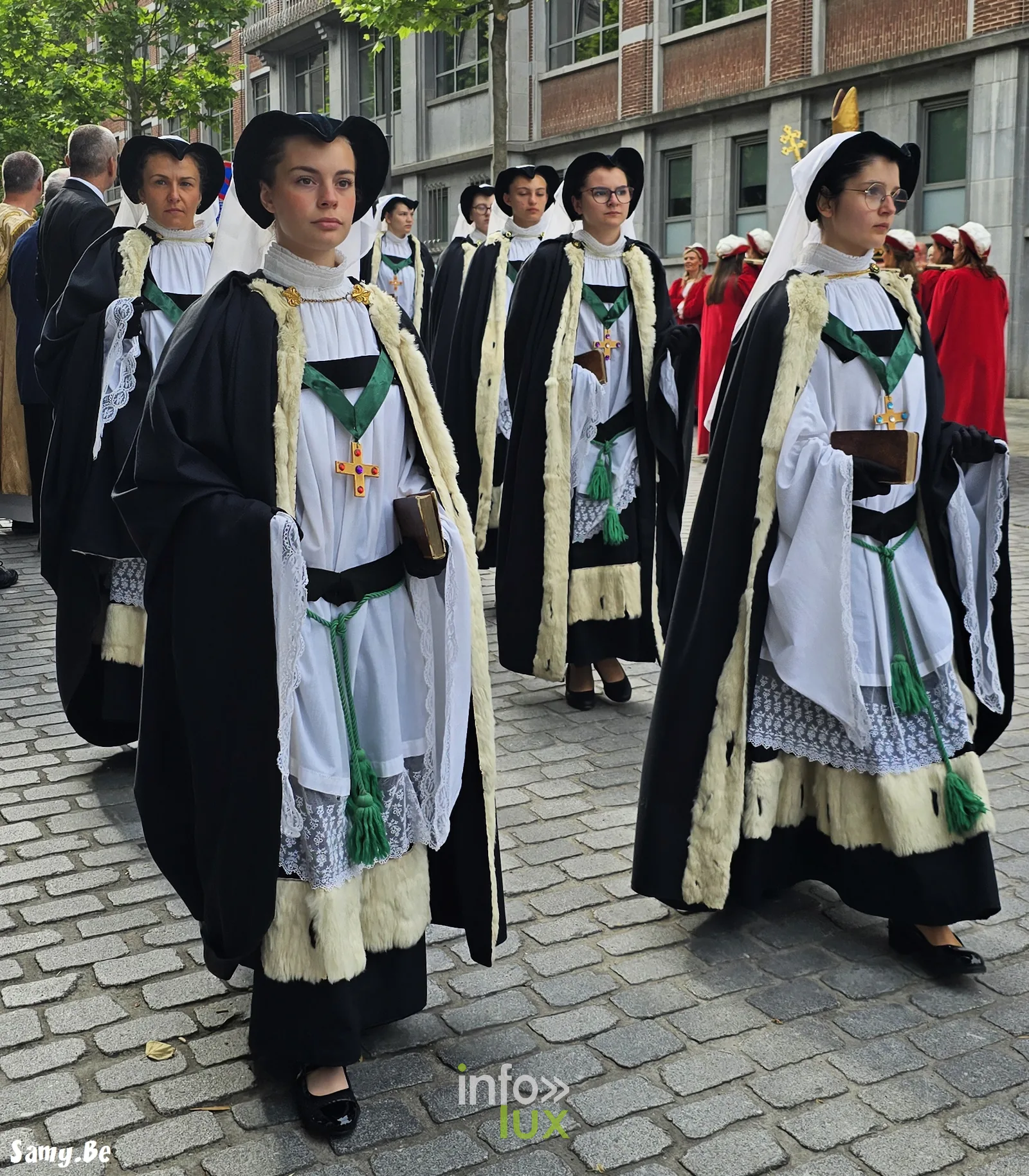 Doudou de Mons 2026 : procession de la Ducasse de sainte Waudru à Mons — photo 72