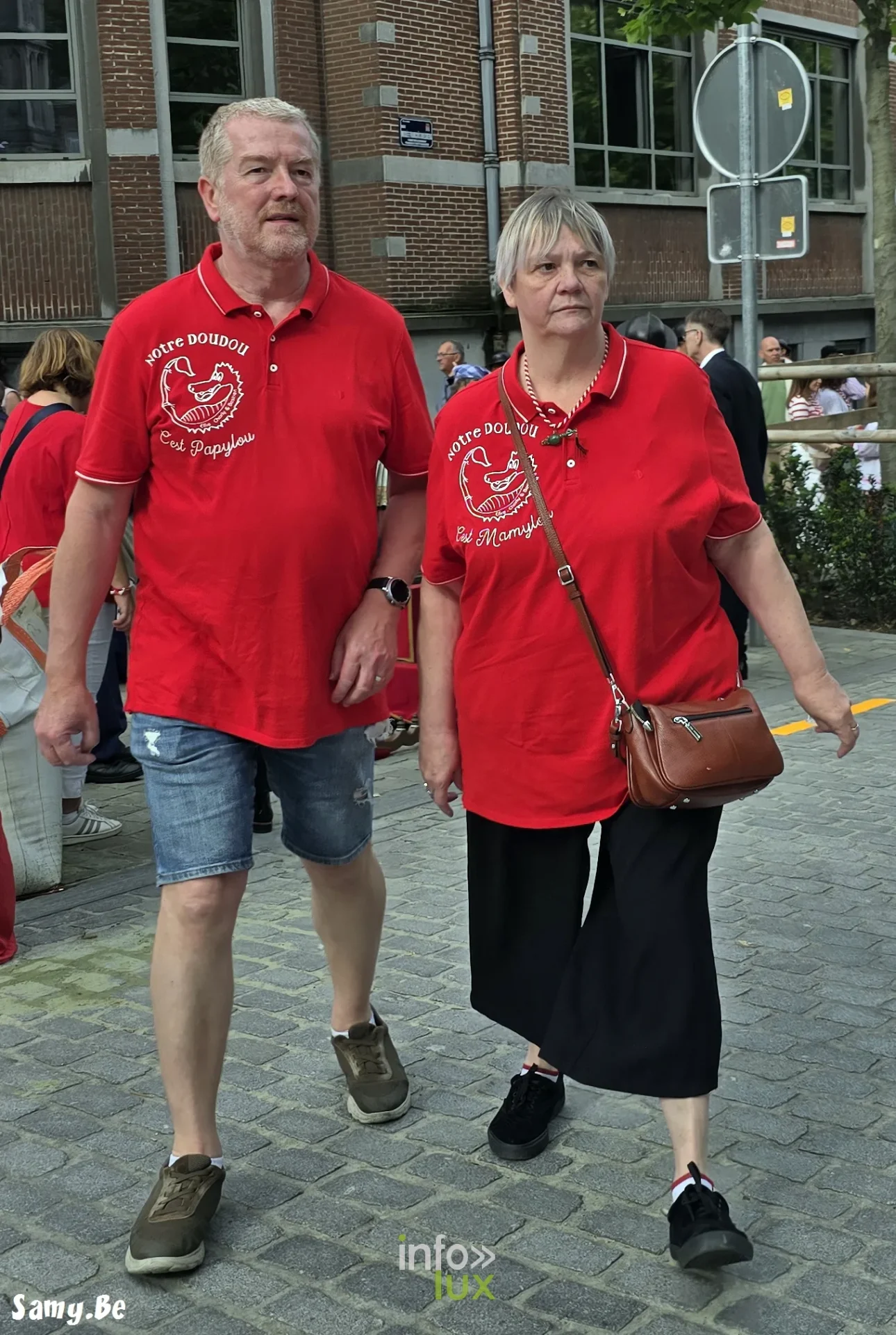 Doudou de Mons 2026 : procession de la Ducasse de sainte Waudru à Mons — photo 102