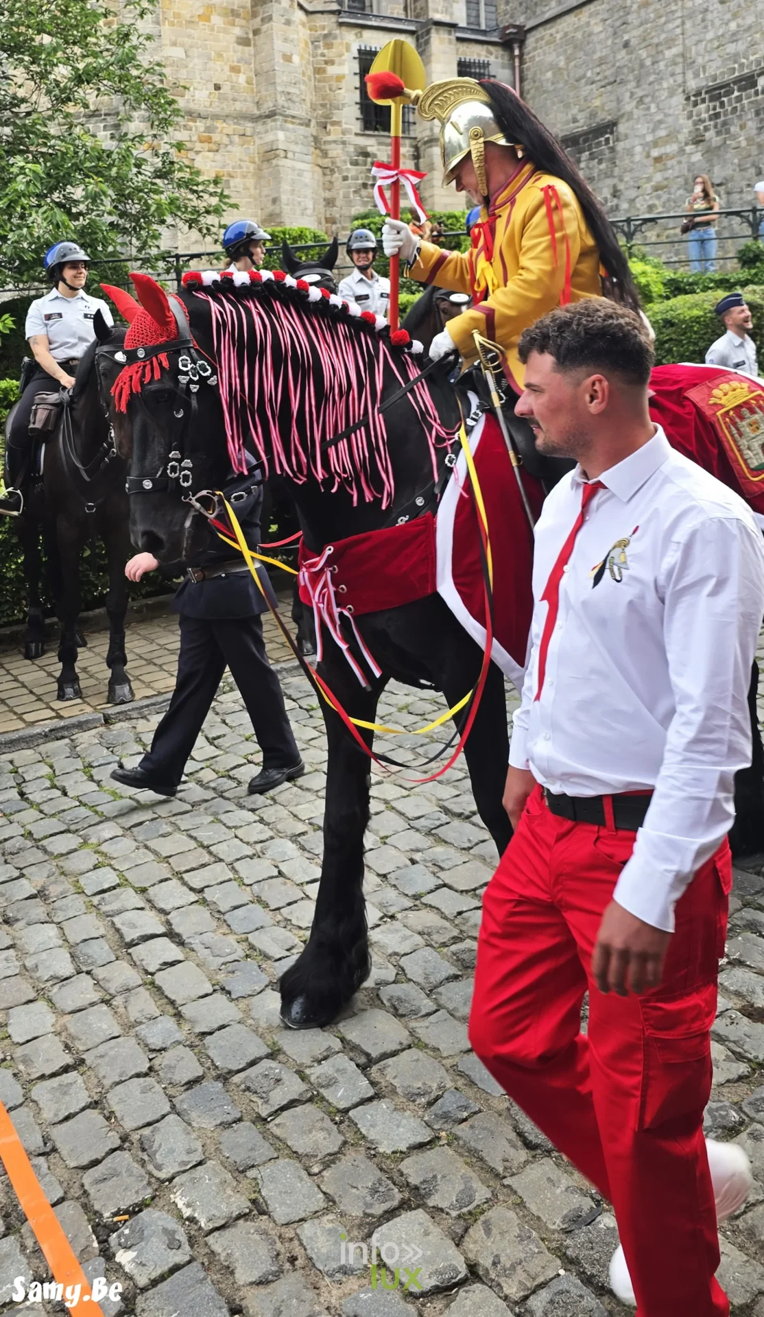 Doudou de Mons 2026 : procession de la Ducasse de sainte Waudru à Mons — photo 121