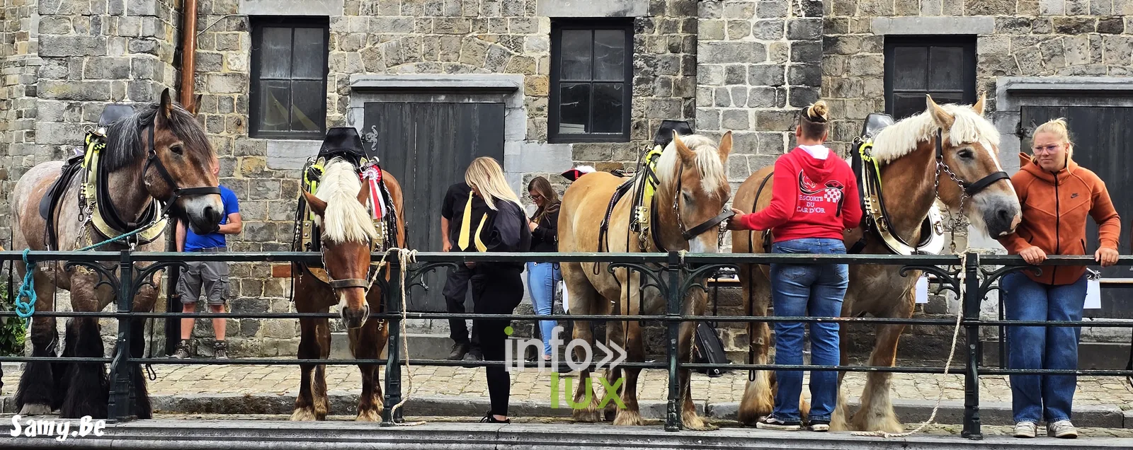 Doudou de Mons 2026 : procession de la Ducasse de sainte Waudru à Mons — photo 131
