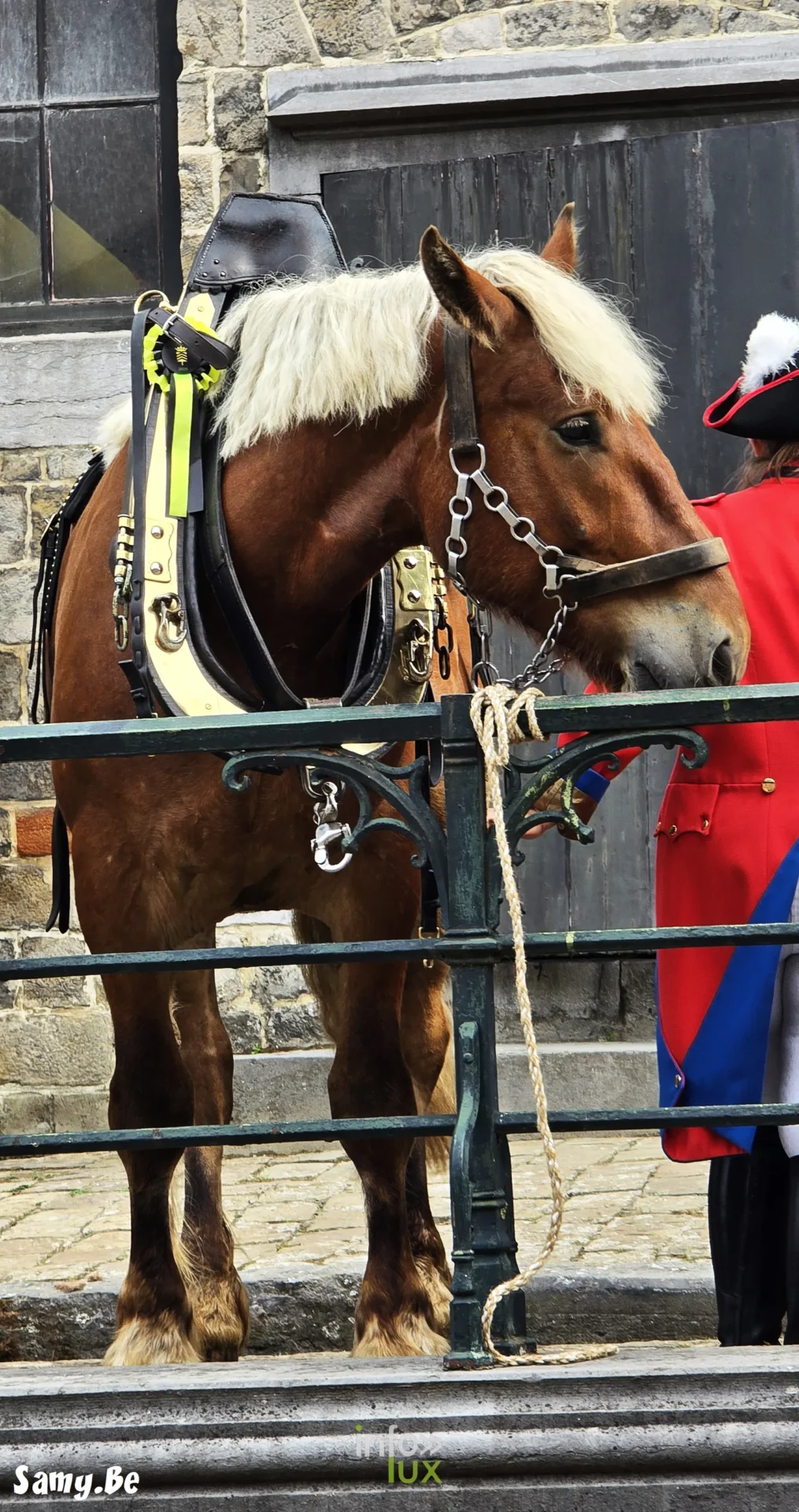 Doudou de Mons 2026 : procession de la Ducasse de sainte Waudru à Mons — photo 134