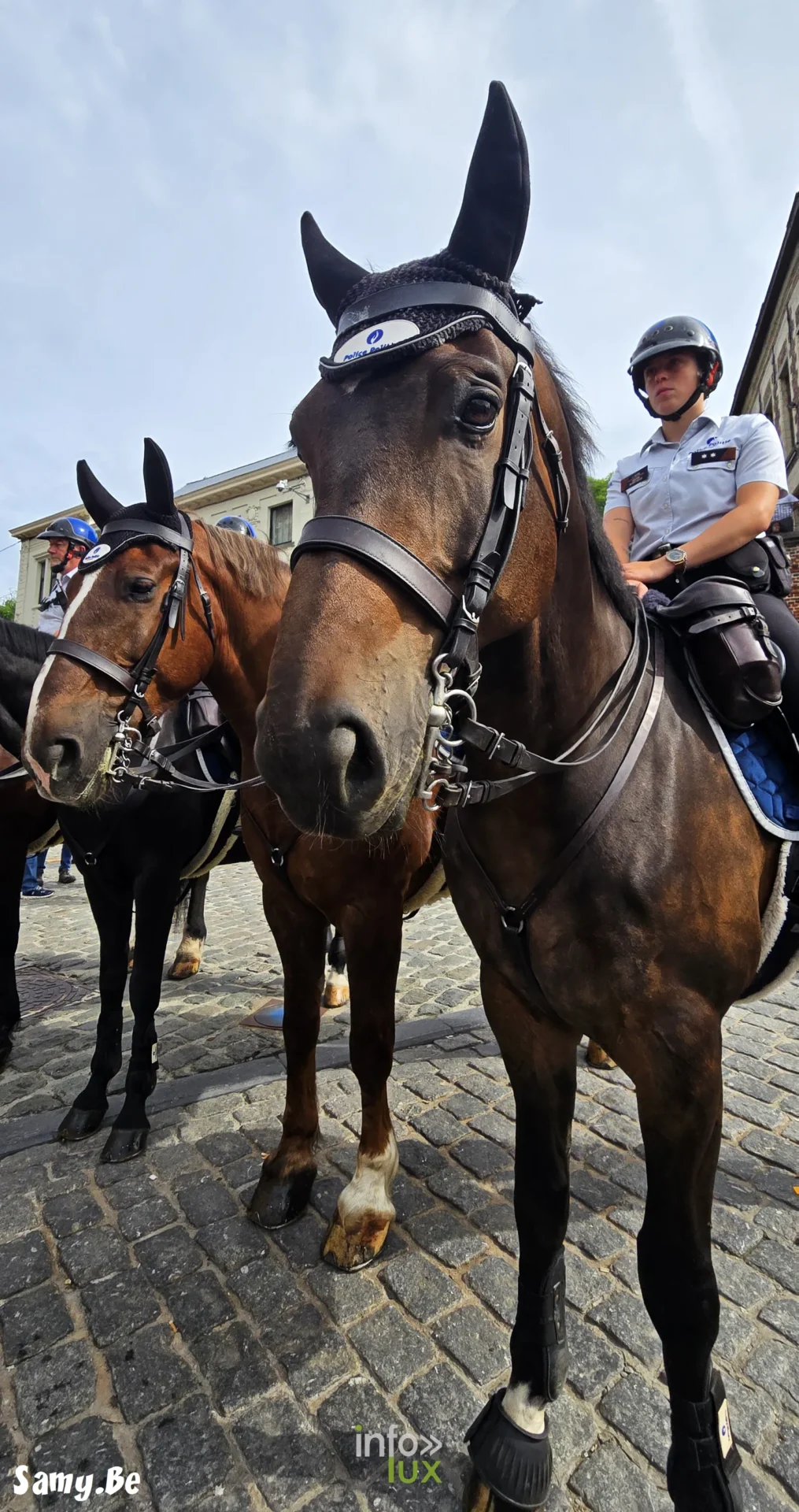 Doudou de Mons 2026 : procession de la Ducasse de sainte Waudru à Mons — photo 174