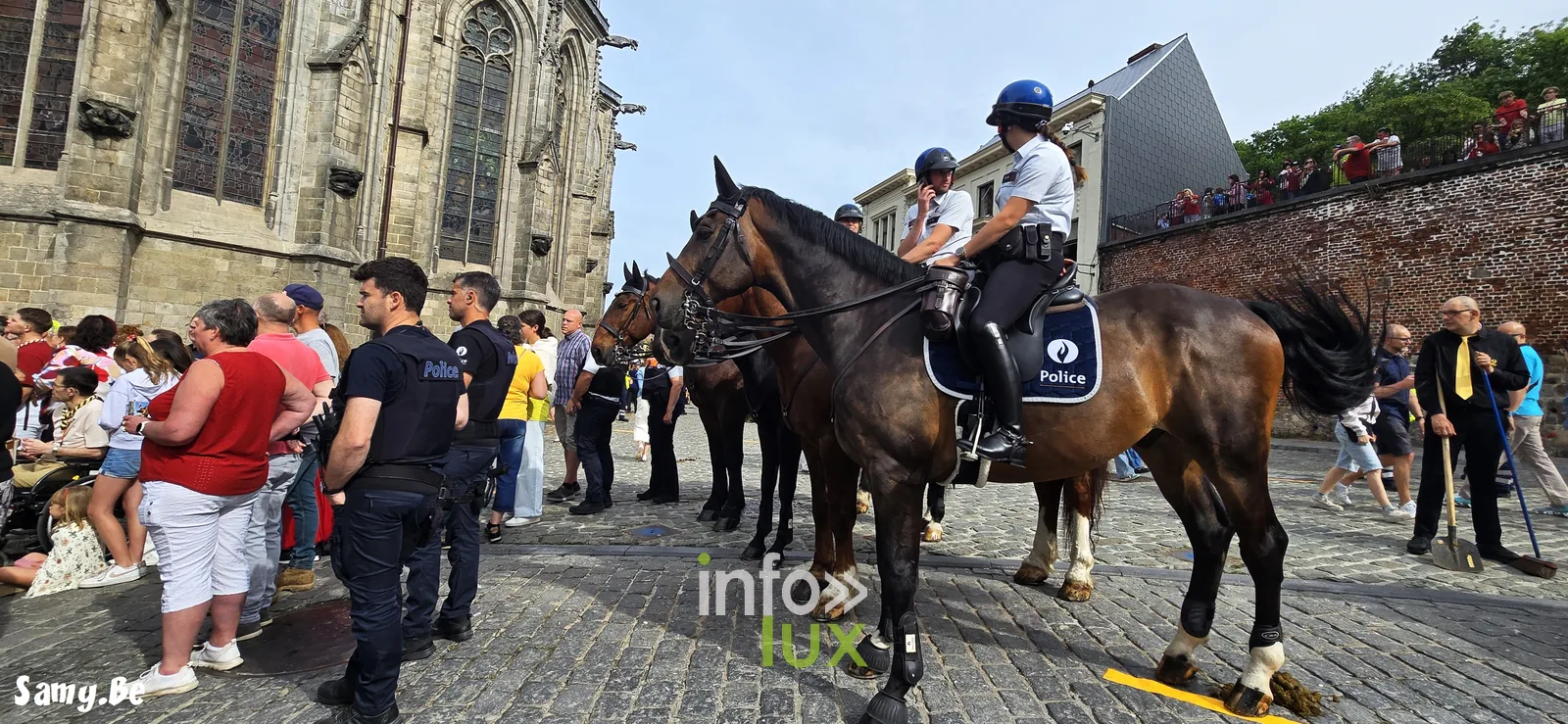 Doudou de Mons 2026 : procession de la Ducasse de sainte Waudru à Mons — photo 176