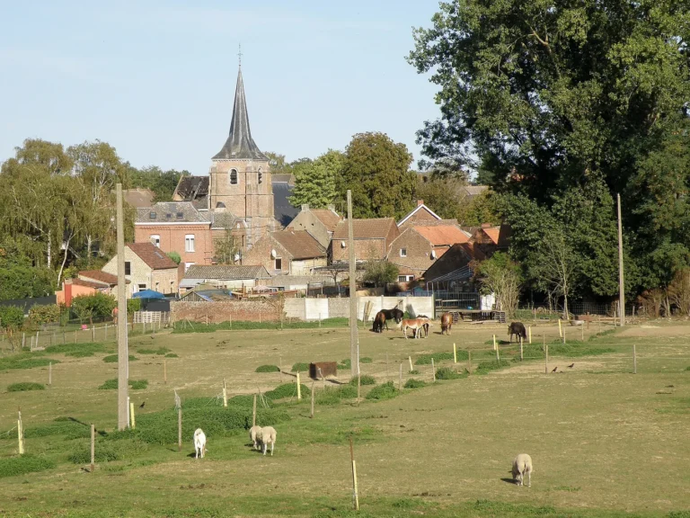 Honnelles » Folklore » Ducasse d’Angre