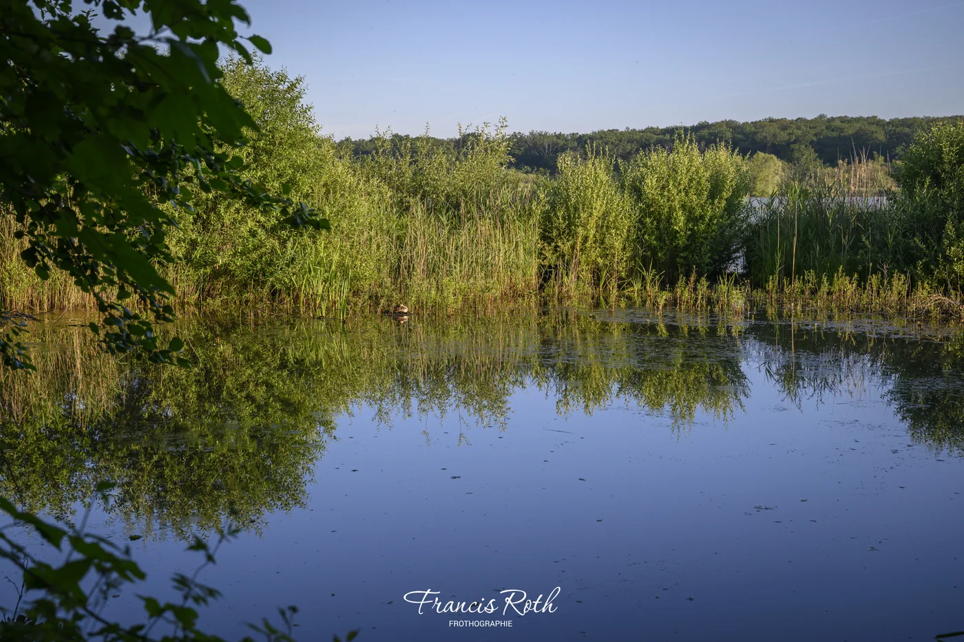 À l'Aquascope de Virelles — © Francis Roth