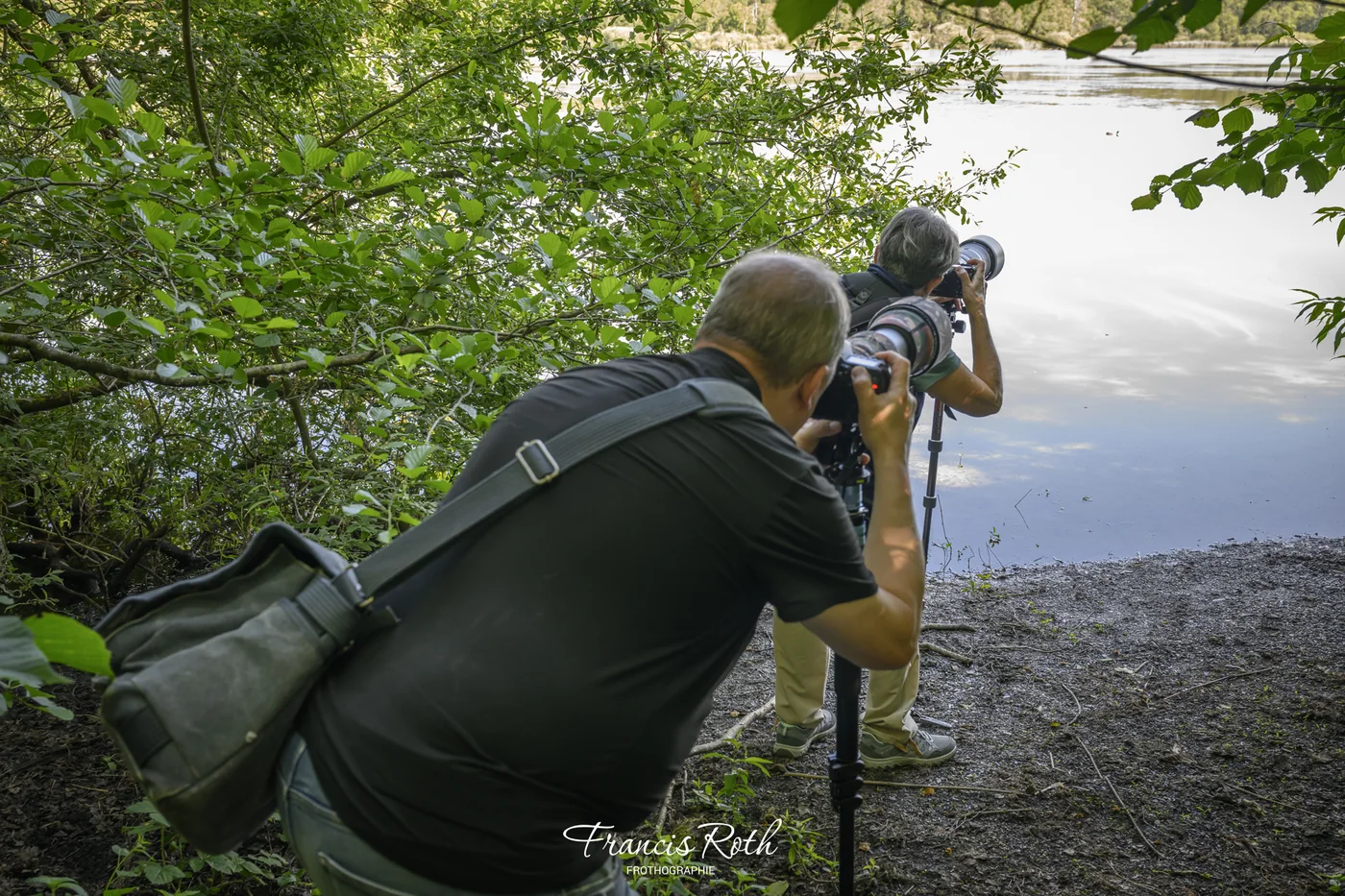 Étangs de Virelles & Aquascope – © Francis Roth