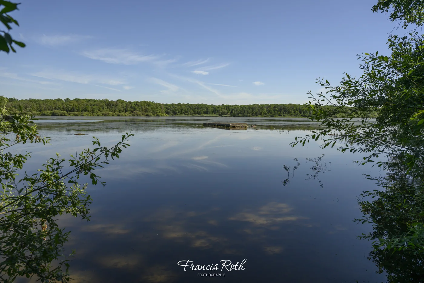 Étangs de Virelles & Aquascope – © Francis Roth