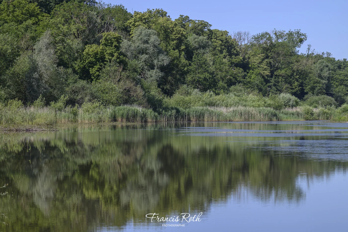 Étangs de Virelles & Aquascope – © Francis Roth
