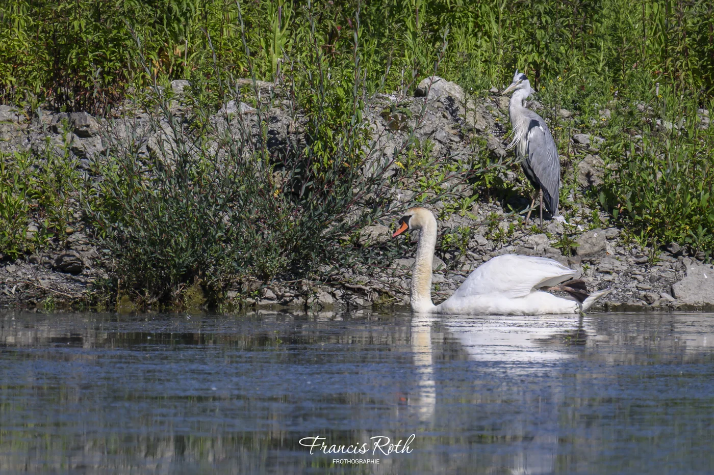 Étangs de Virelles & Aquascope – © Francis Roth