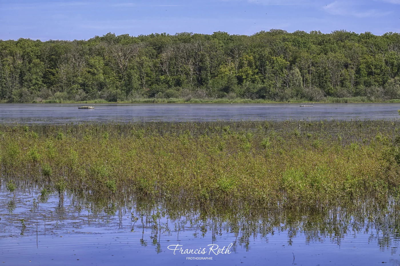 Étangs de Virelles & Aquascope – © Francis Roth