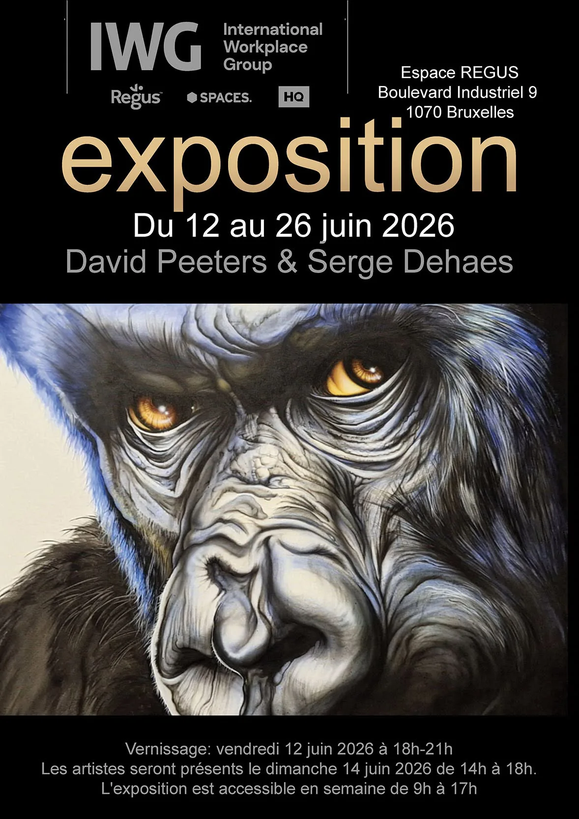 Exposition Serge Dehaes & David Peeters – © Serge Dehaes & David Peeters / photos Samy Harzallah