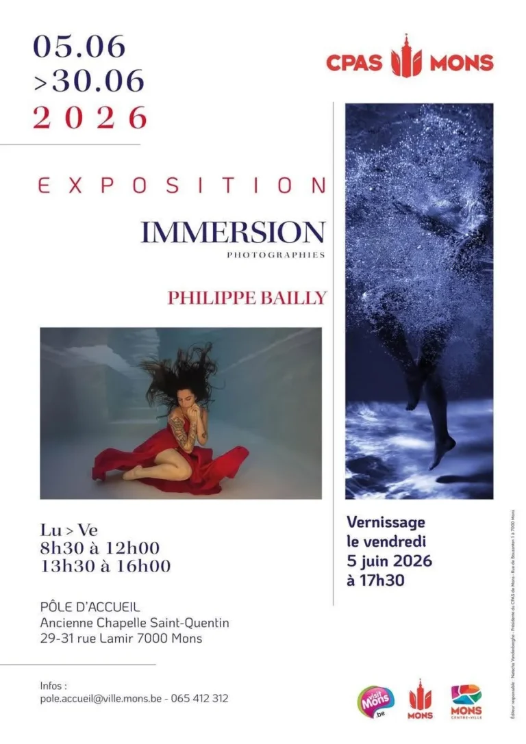 Exposition « Immersion » de Philippe Bailly à Mons