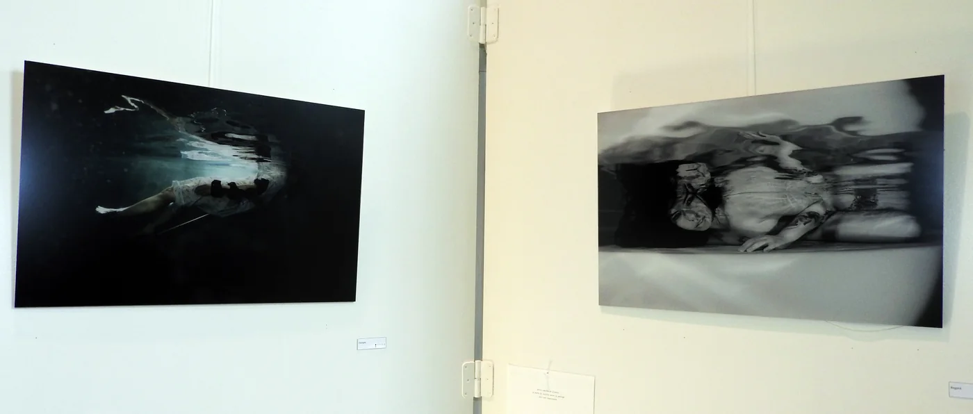 Exposition Immersion Philippe Bailly à Mons – Photos © Samy Harzallah / Samy.be