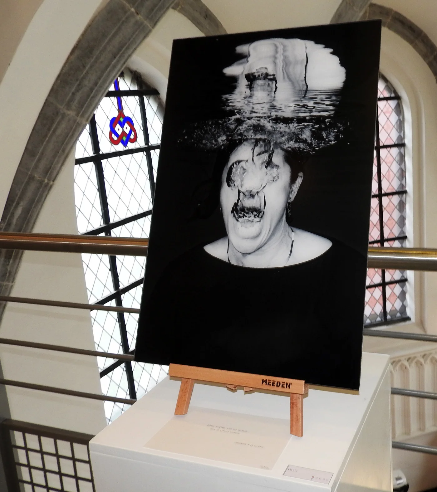 Exposition Immersion Philippe Bailly à Mons – Photos © Samy Harzallah / Samy.be