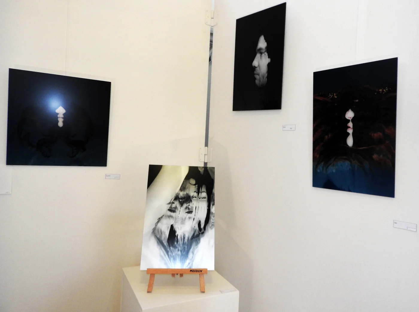 Exposition Immersion Philippe Bailly à Mons – Photos © Samy Harzallah / Samy.be